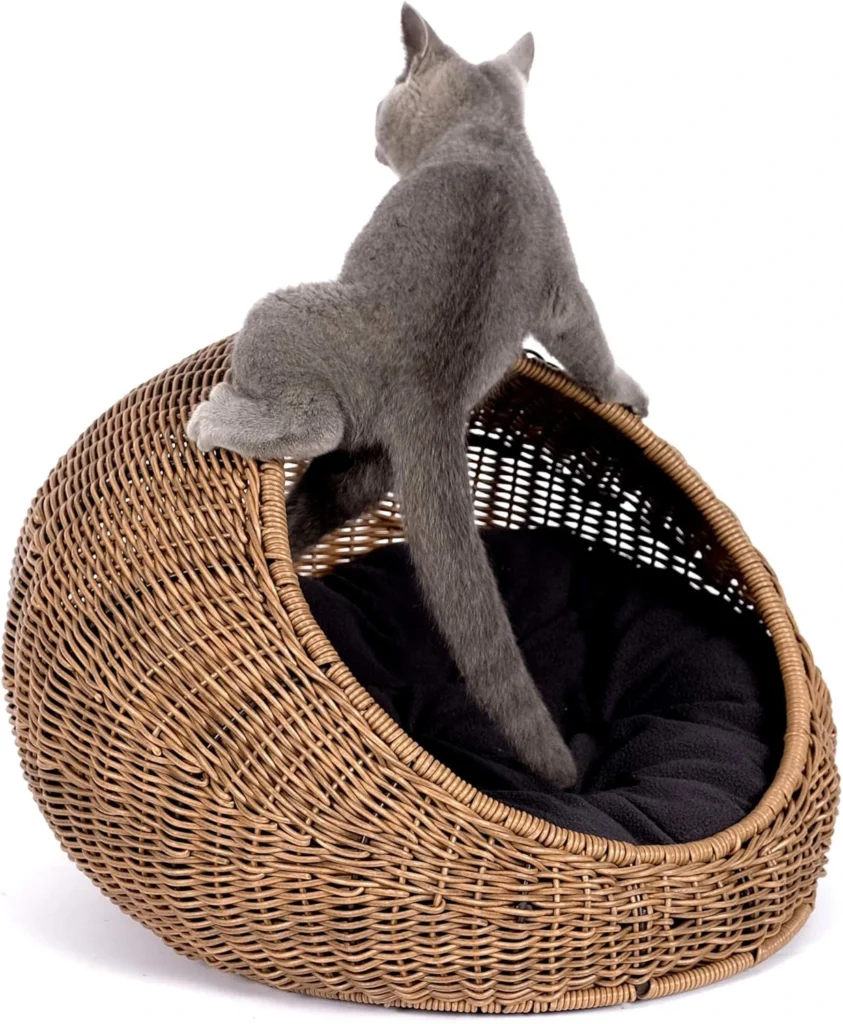Alt Text: D+GARDEN Wicker Cat Bed dome for medium indoor cats – cozy rattan hideaway hut with washable cushion