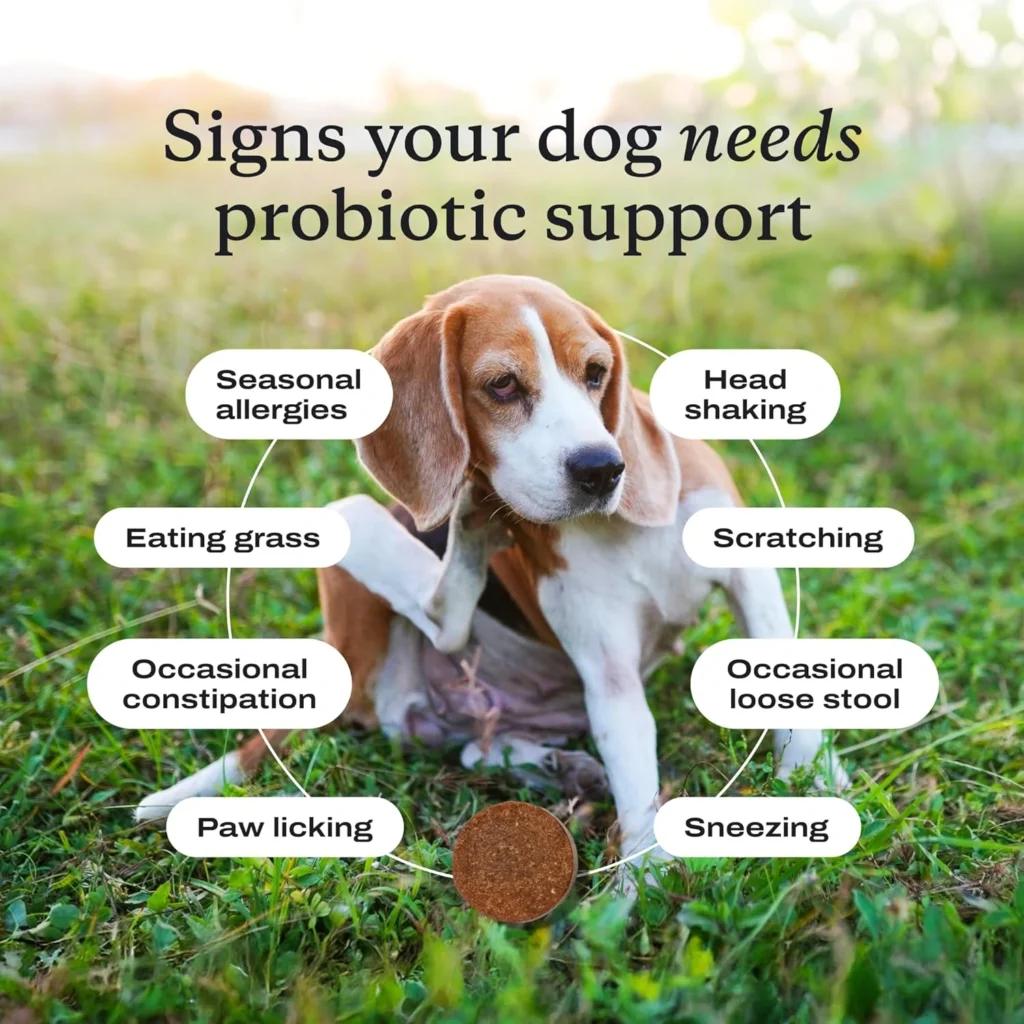 petlab co, probiotics for dogs support gut health 4