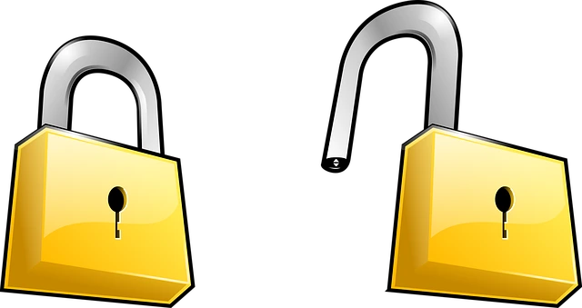 privacy policy by profitvity.com