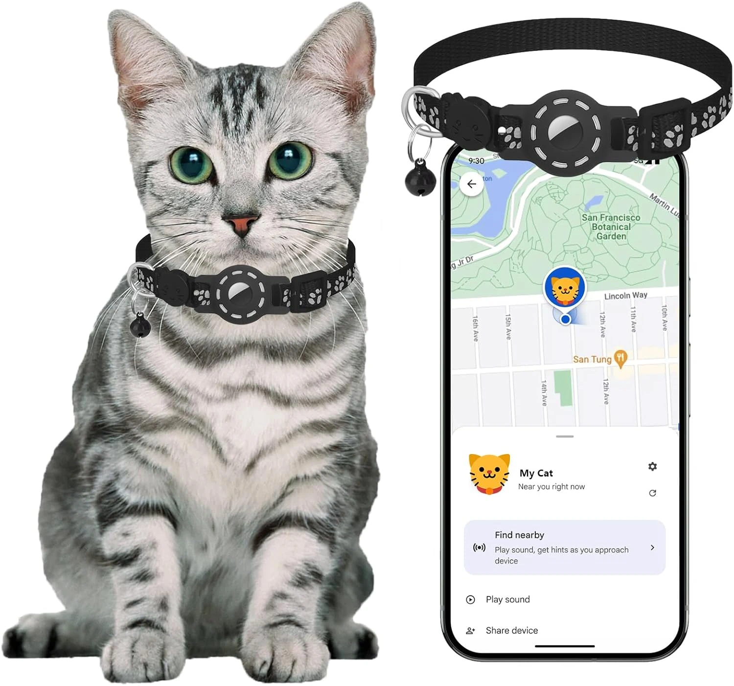 Cat wearing GPS cat tracker collar that works with Android for real time location tracking