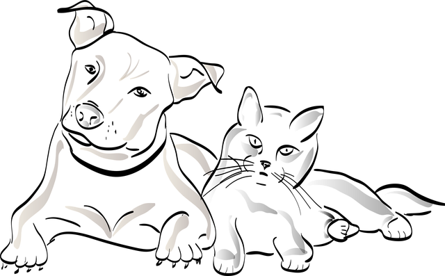 pet zone by profitviy.com